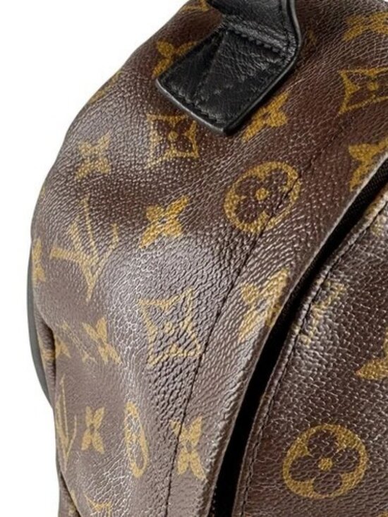 Auth LOUIS VUITTON Monogram Palm Springs PM Backpack Brown M44871 - z9619 main image 13